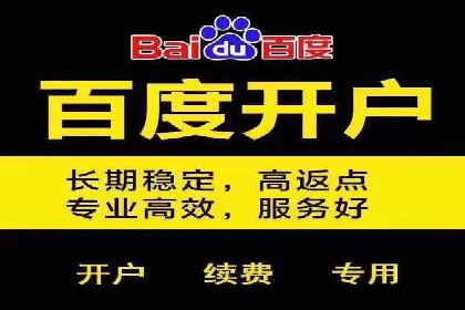 百度推广策略：案例分析如何实现转化